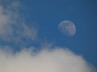 Naklejka na ściany i meble Daytime moon, blue sky and clouds, Poland