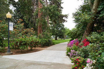 Obraz premium Chico University Path in the Park with Flowers and Trees