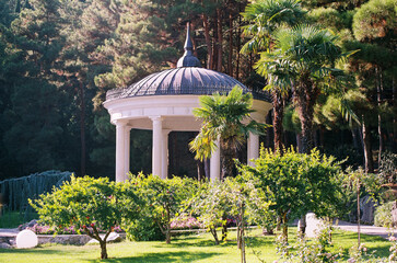 Gazebo in the form of a rotunda in the park. 