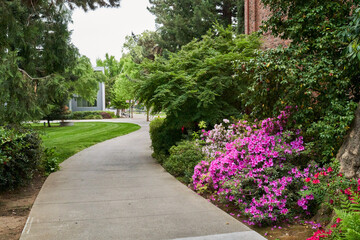 Chico University California Walking Path in the Park with flowers and trees lined pathway