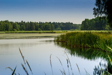 Pojezierze Palowickie Śląsk Rybnik Silesia