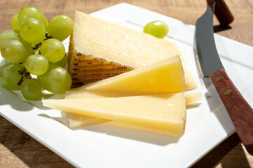 Cheese collection, piece of spanisch hard manchego cheese made in La Mancha region from sheep milk with green grapes