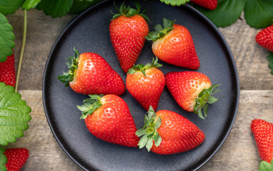 New harvest of ripe red sweet strawberry on farmer fiels and green leaves of strawberry plants close up