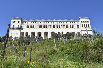 The monastery of Saint Martin seen from the vineyard below., in Naples, Italy.