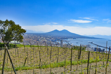 Fototapeta na wymiar Panorama of the city of Naples from the vineyard of the abbey of Saint Martin, Italy.