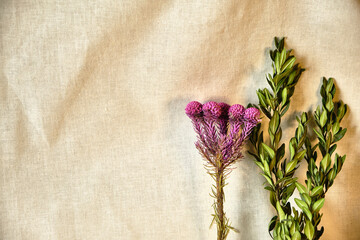 Background of crumpled textile of a branch of leaves and an unusual pink flower, copy space