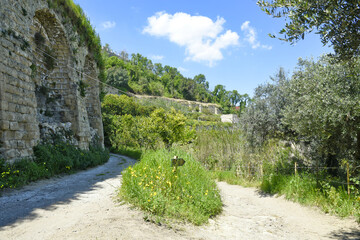 Footpath inside a hillside vineyard in the city of Naples, Italy.