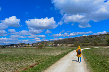 Fototapeta na wymiar Wanderweg in Möggingen/ Radolfzell am Bodensee