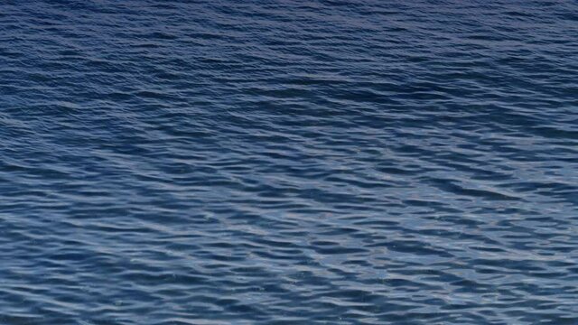 Blue grey sea water surface at cloudy sunless day.  Nature background.