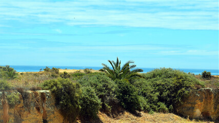 Fototapeta na wymiar Portugalia. Algarve.