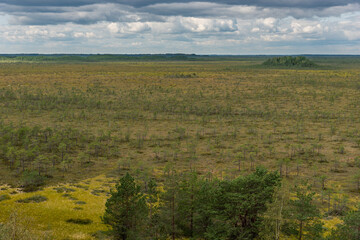 View to the field from the observation tower on countryside