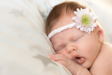 sleeping newborn baby headband with  flower (close up portrait)