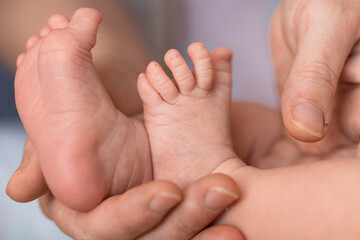Obraz na płótnie Canvas close up: newborn baby feet in a hand of mother