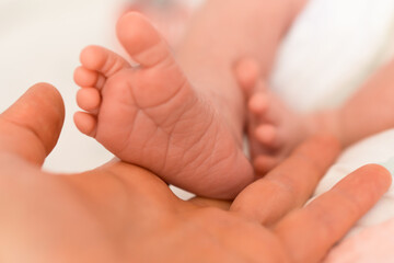 Obraz na płótnie Canvas close up: newborn baby feet in a hand of mother