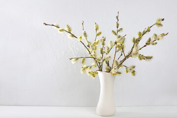 Fototapeta premium Delicate pussy willow flowers in a vase on a gray background, abstract spring flower arrangement, minimal holiday concept, still life, banner. Easter card, home interior,