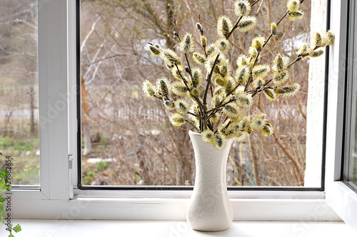 Holiday concept with flowers, spring floral arrangement, still life, banner, delicate pussy willow flowers on a sunny window. Greeting card for easter, mother's day, happy birthday, wedding