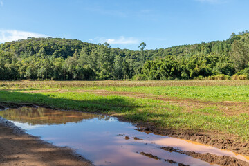 Farm field with dirty road and forest