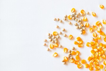 Different grains of corn and beans on a white background. Food grown in Panama