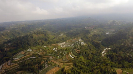 agricultural land in mountains rice terraces, fields with crops, trees. Aerial view farmlands on mountainside Java, Indonesia. tropical landscape