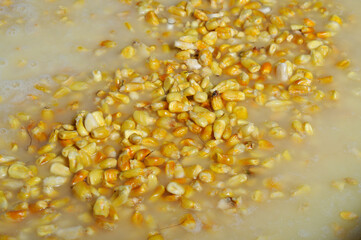 produccion de nixtamal para hacer masa de tortillas o tamales