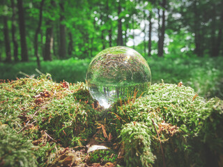 Crystal ball in the middle of a forest, reflecting the green colors of the trees and plants.