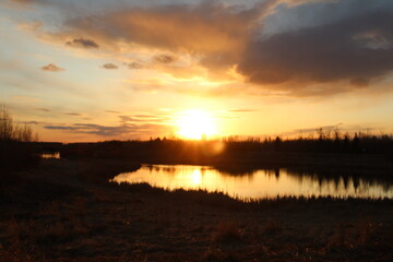 Setting Sun, Pylypow Wetlands, Edmonton, Alberta