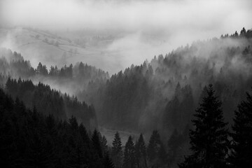 Breathtaking misty natural scene of vast zigzag hills with silhouettes of trees on a gloomy day