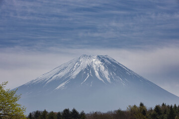 Fototapeta premium 富士山