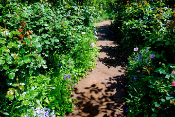 イングリッシュガーデン