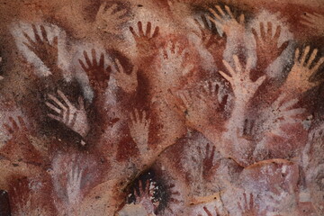 Rastros de vida en la roca (Patagonia)