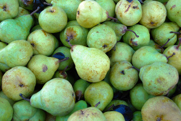 pears in the market