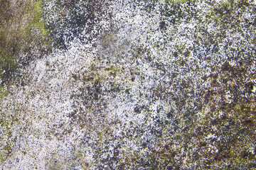 Old cement or concrete outdoor wall with stains and moldy for background and texture.
