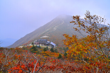 설악산 국립공원의 가을풍경