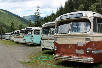 Fototapeta na wymiar Abandoned Transit Buses