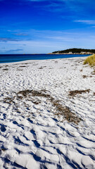 Sandy beach, Tasmania, Australia