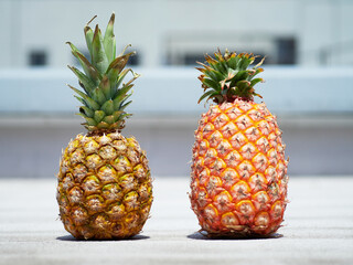 Comparison photo of Filipino pineapple (left) and Taiwanese pineapple (right).