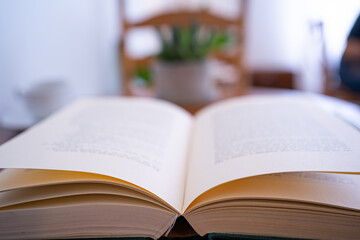 Old open book  with daylight