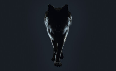 歩く狼の正面シルエット（3Dイラストレーション）
