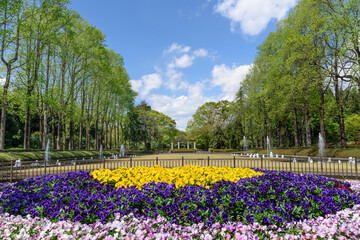 栃木県中央公園の花壇（4月撮影）