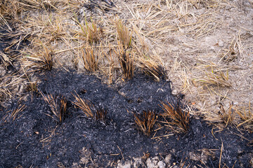 Close up burned field in the countryside and dried grass land,Burning of straw on the field,Global warming.