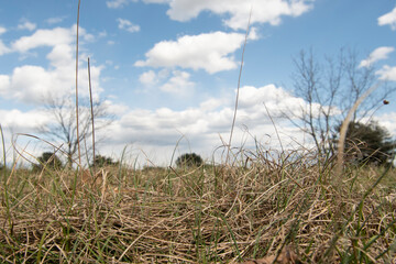 niebo © Krzysztof  Jaworski