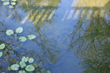 Reflets dans une rivière yonnaise
