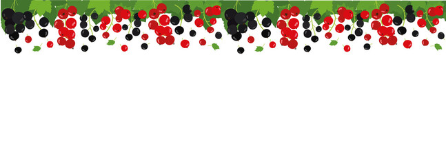 seamless border frame background. Black, white and red currant . Vector illustration. Background design for juice, tea, bakery with berry filling, farmers market, grocery ,health care products. 