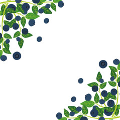 Vector blueberry corner ornament  background. Background design for natural cosmetics,sweets and pasties filled with berry, food, grocery ,health care products. Best for packaging and web design