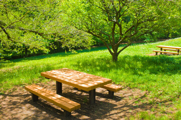 Fototapeta na wymiar table and bench in the park