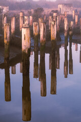 Piled High Reflections in the Marsh