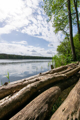 landscape and lake (Scherm&uuml;tzelsee, Buckow, Brandenburg, Germany)