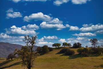 Obraz premium Exploring Highway 58 in central California in the spring