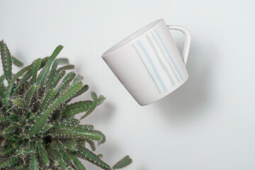 Cup and cactus, watering imitation, abstraction