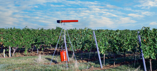 Vineyard bird protection. Carousel Gas Gun for deterring birds in vineyard. Using Propane-Fired...